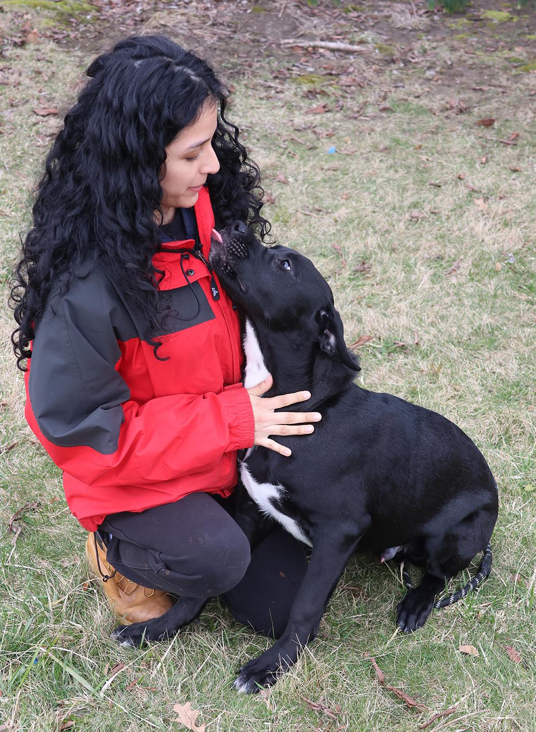 Trevor, an adopted mixed breed in Harrison, NY image 3/6