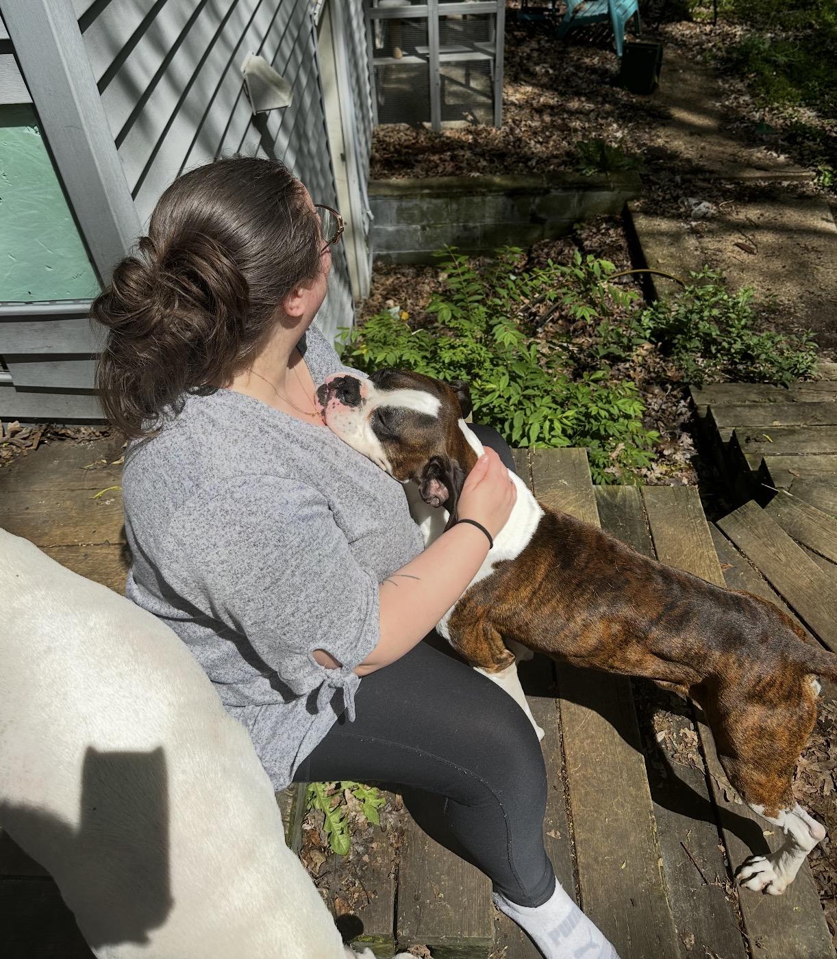 Sarge, a ADOPTABLE Boxer in Grand Haven, MI image 3/5