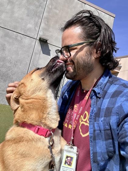 Enlarge Krista, a Adoptable mixed breed in Wichita, KS image 3/3