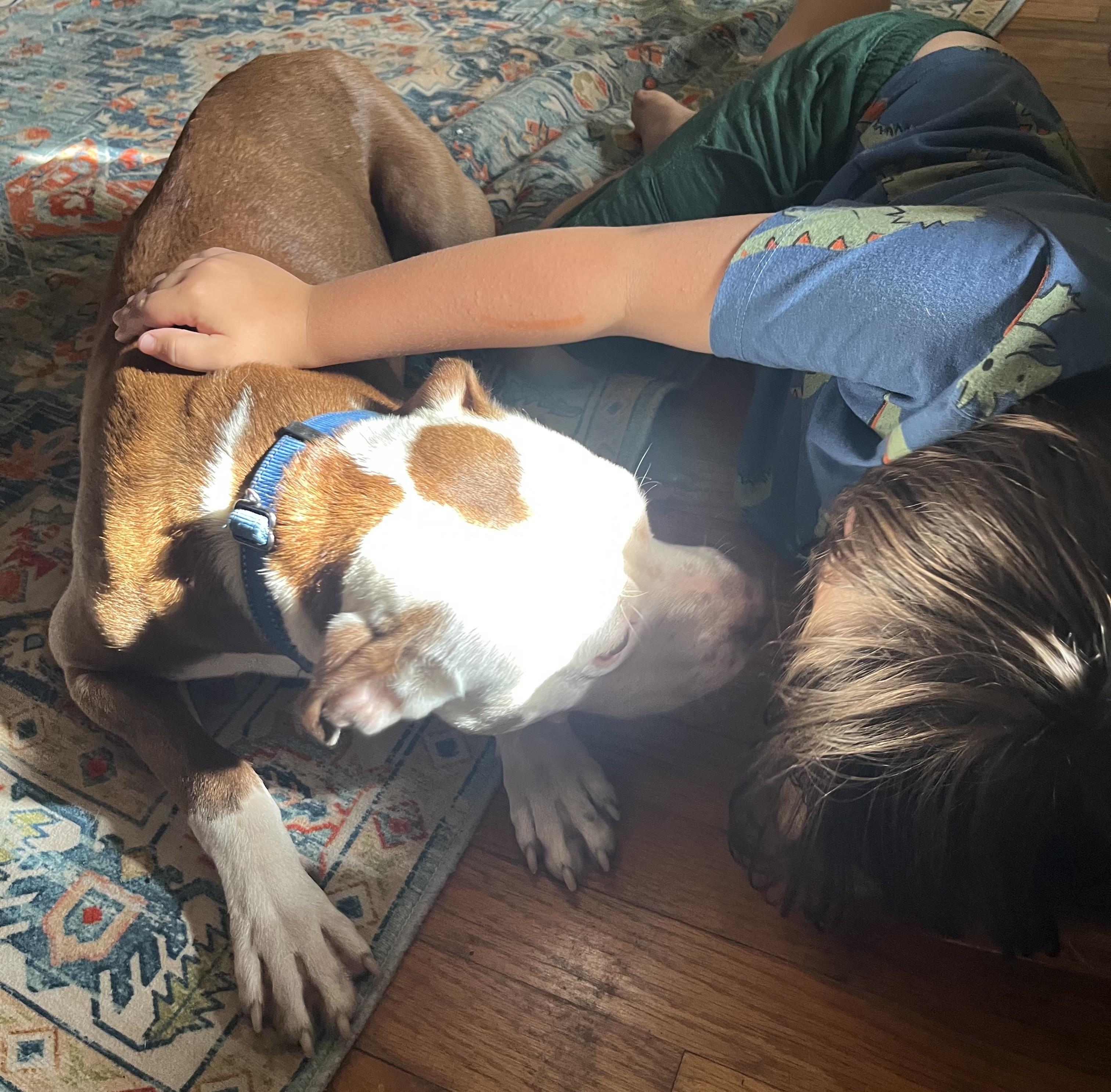 Orion FosterHome A460112