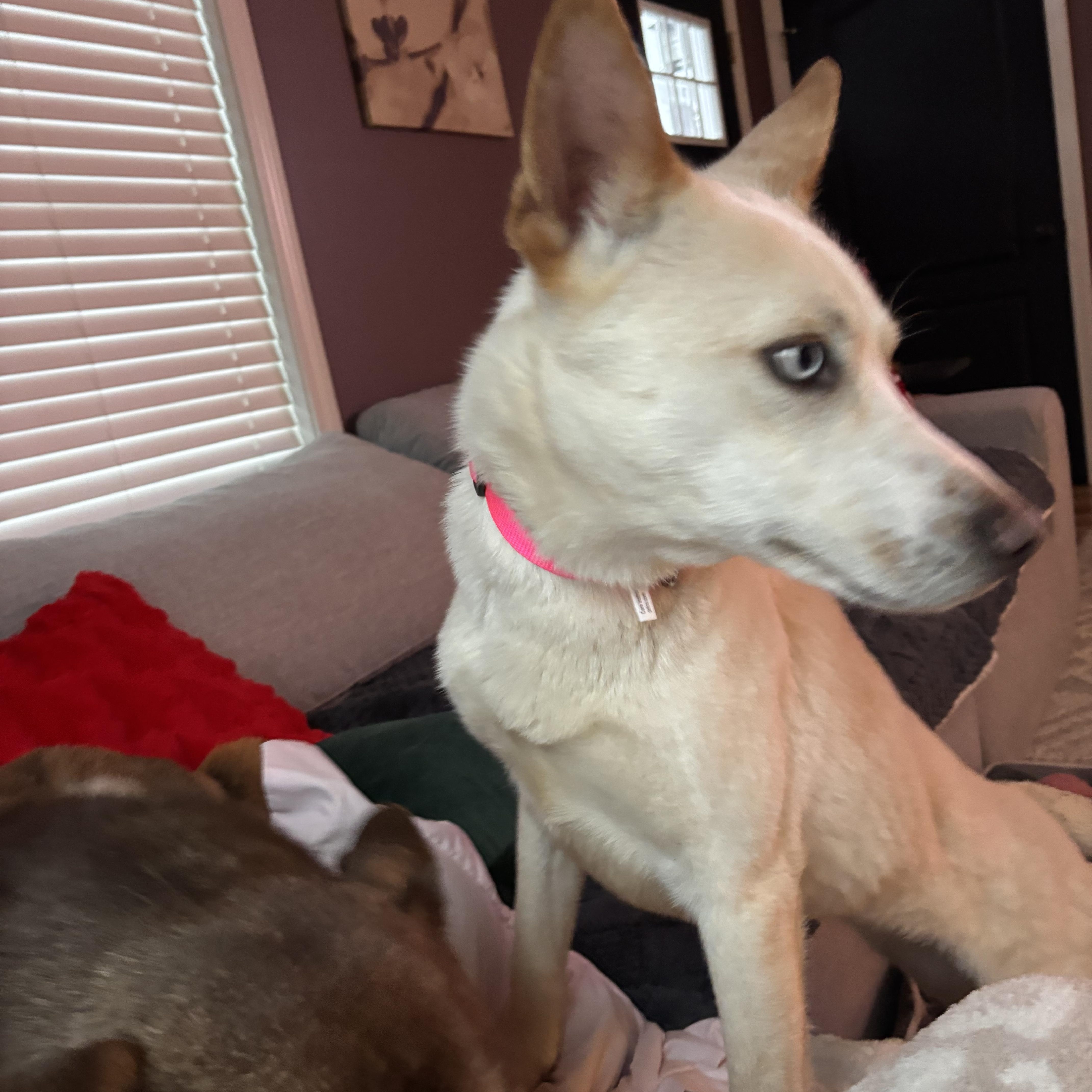 Snow White thumbnail 3