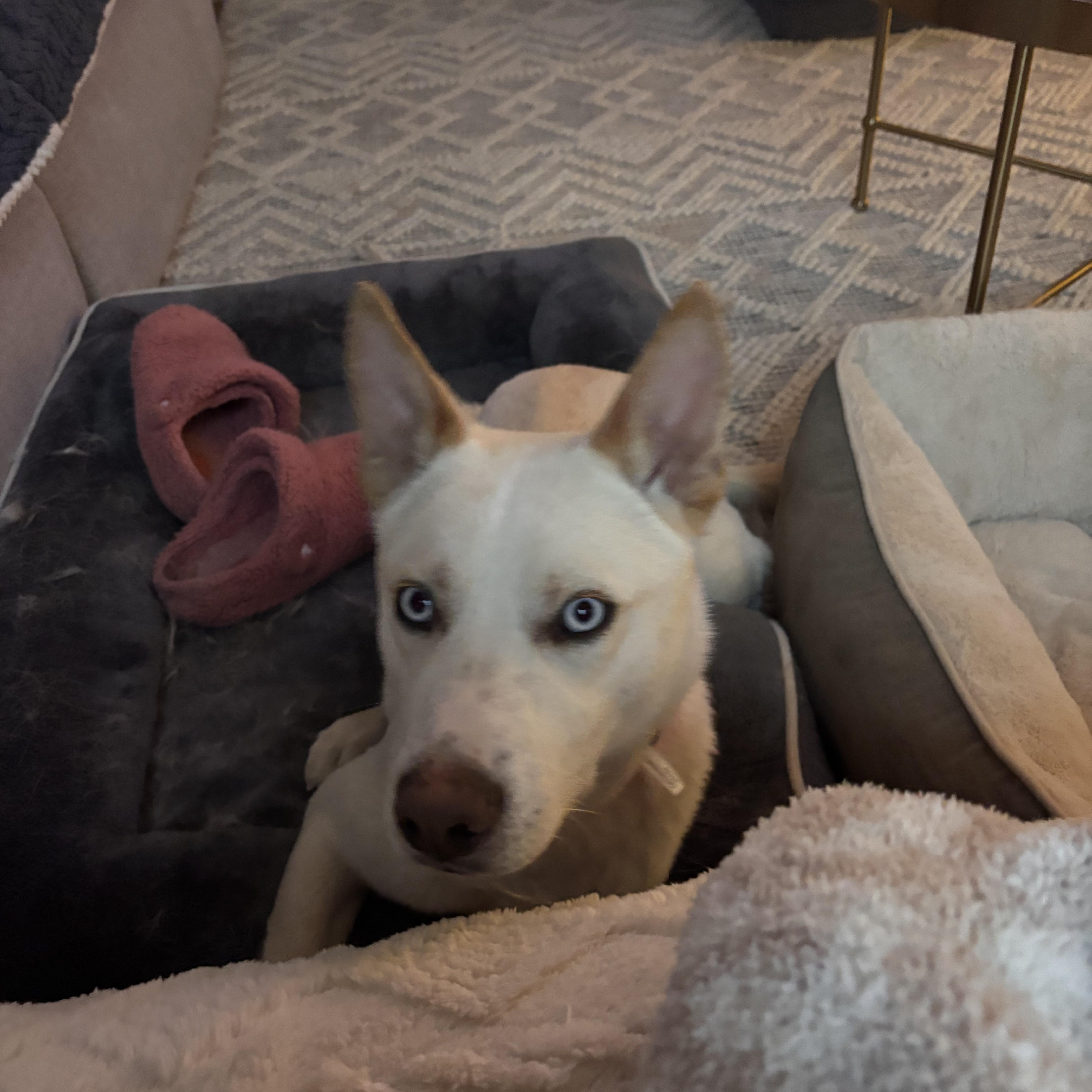 Snow White thumbnail 6