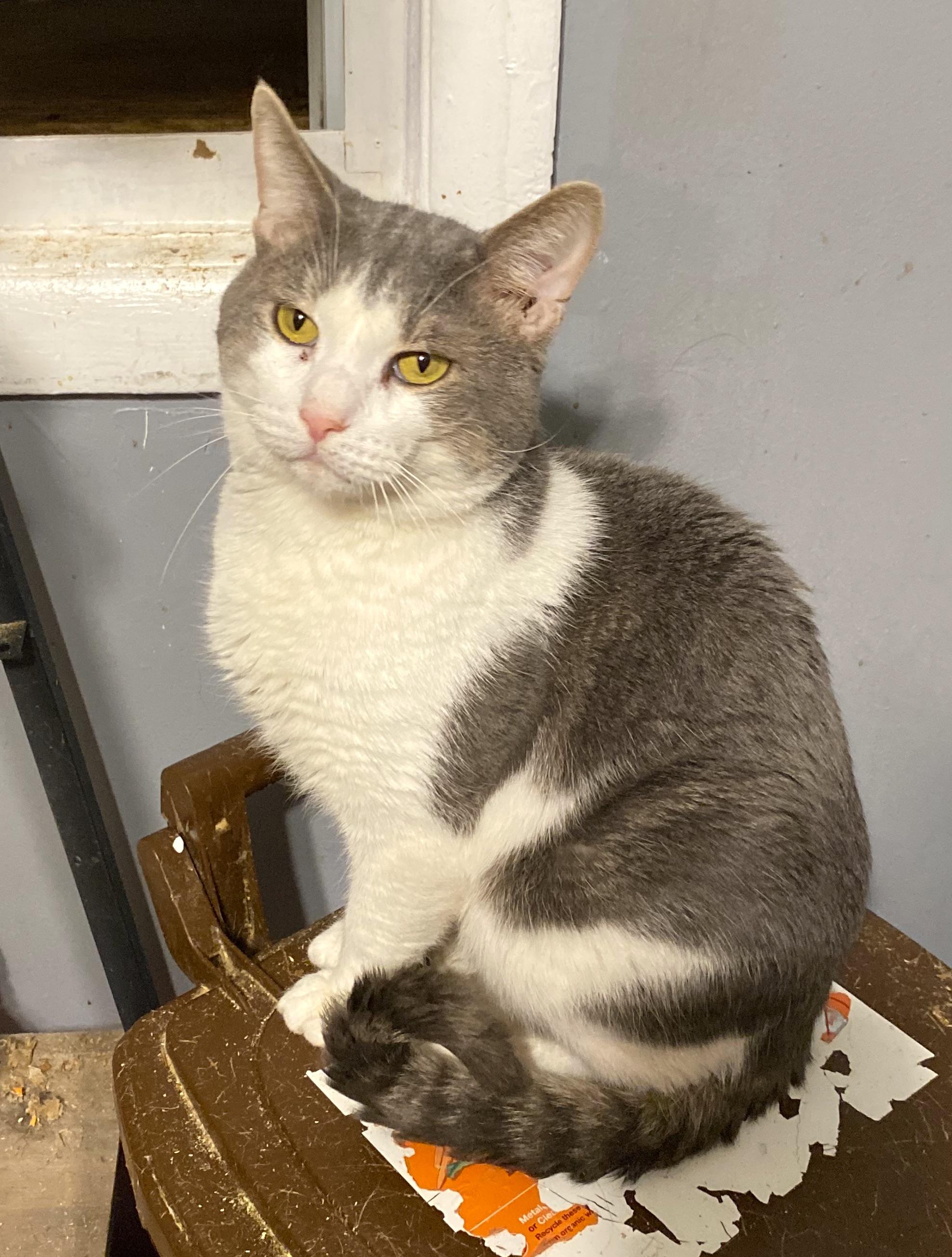 Bryan -The Quiet Lovebug