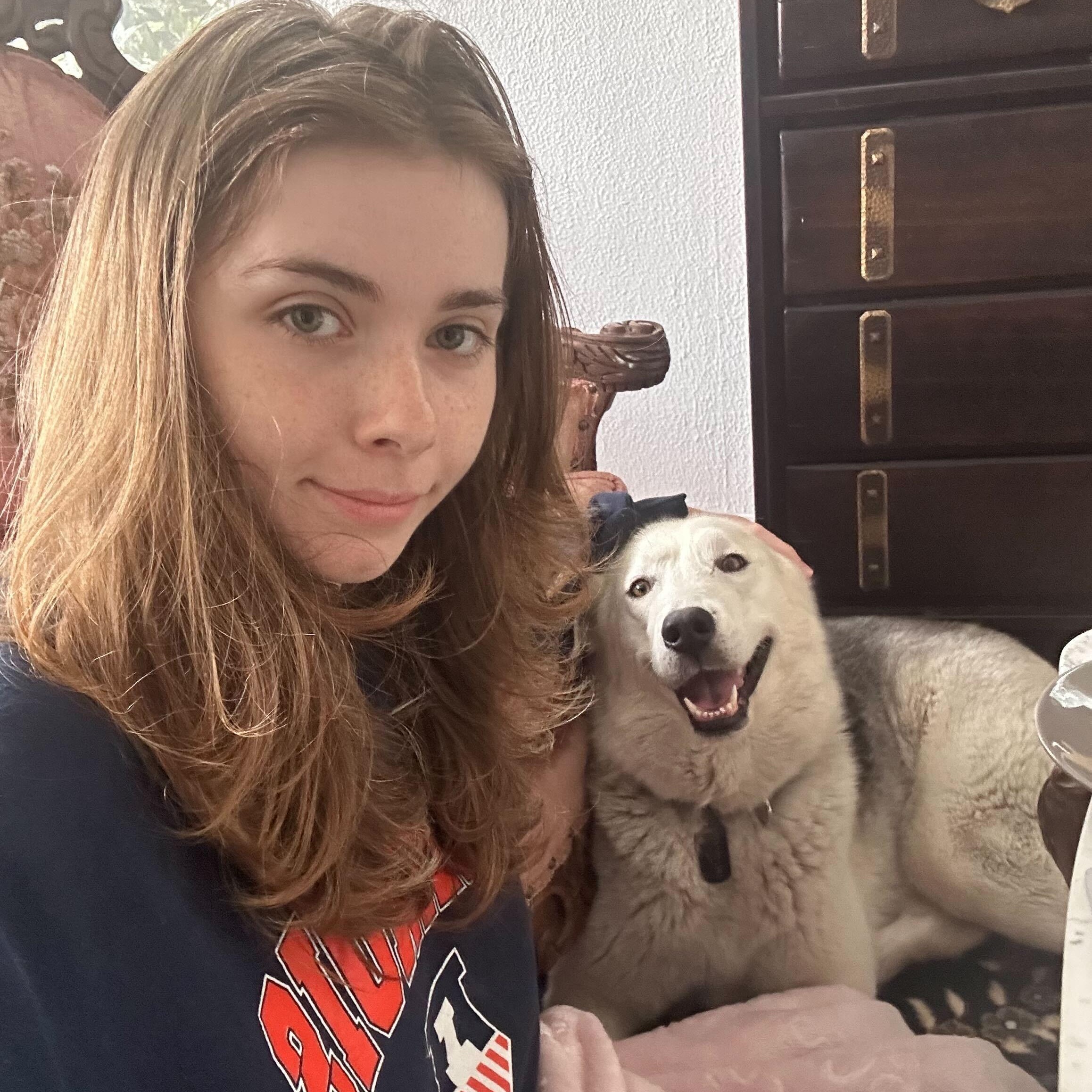 Enlarge Lunabear, a Adoptable Husky in Burbank, CA image 5/6