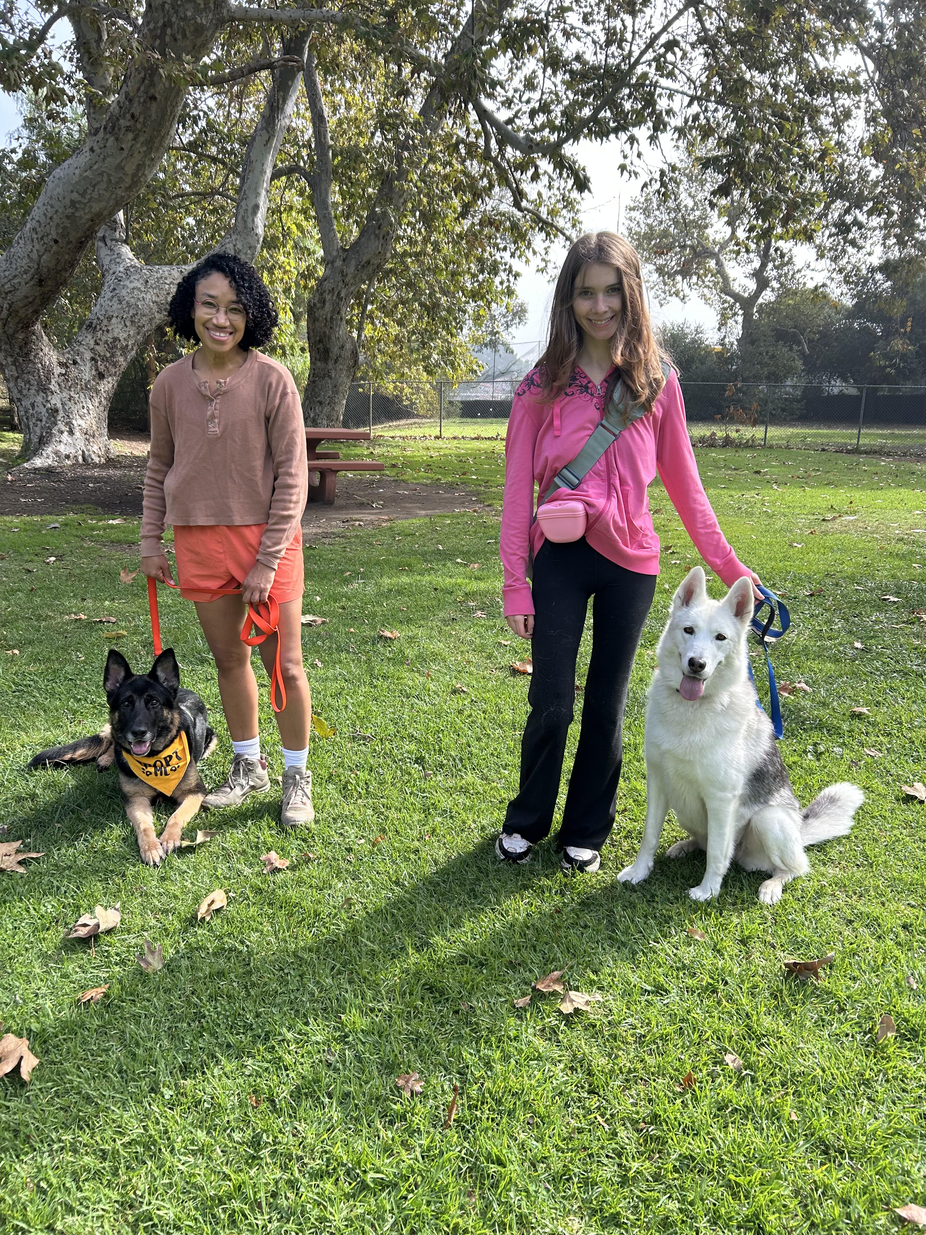 Enlarge Lunabear, a Adoptable Husky in Burbank, CA image 2/6