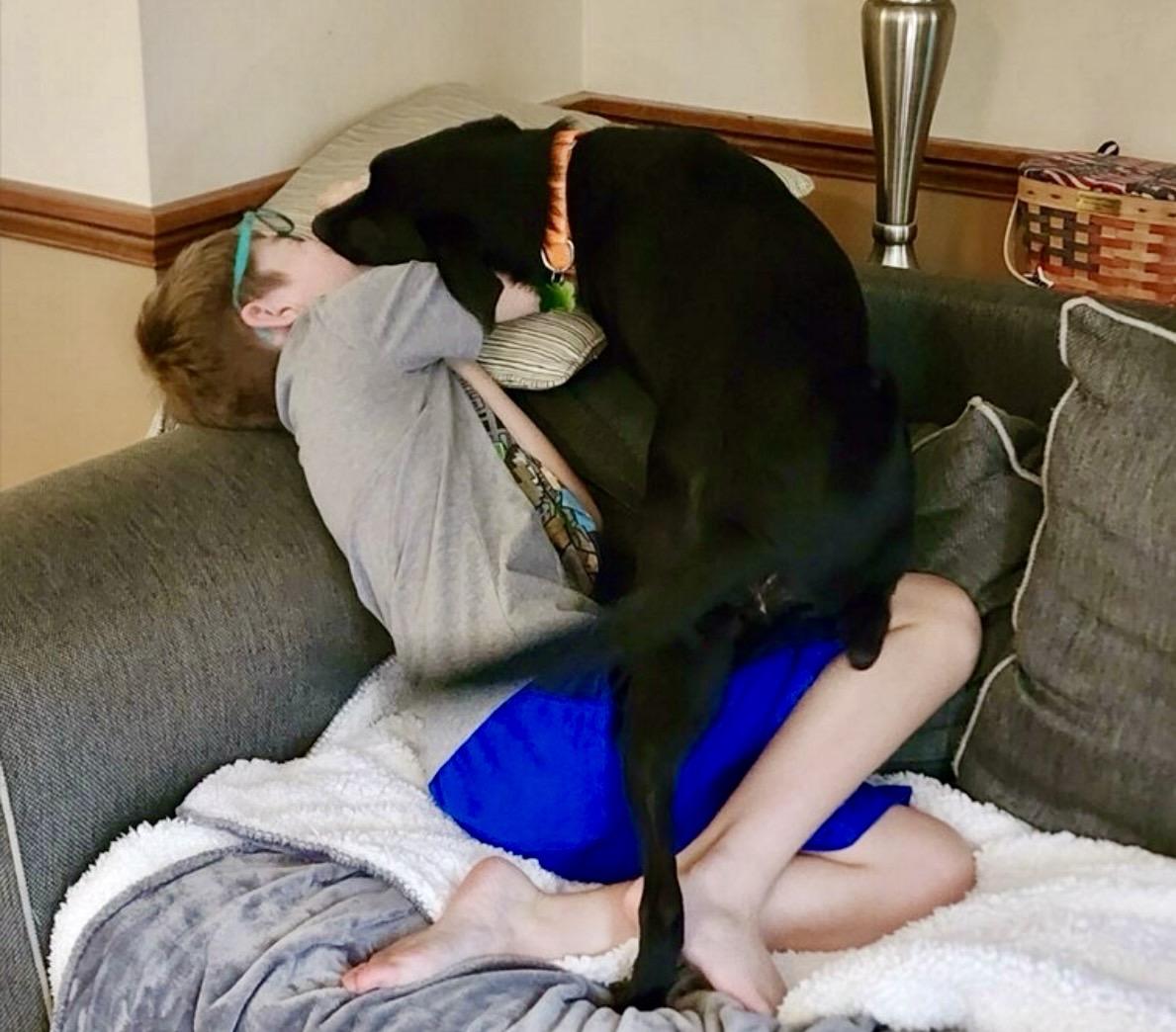 Wiggles, a Adoptable mixed breed in Bensalem, PA image 4/6