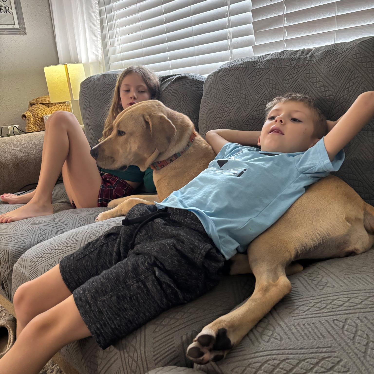 Milu, a Adoptable mixed breed in Houston, TX image 4/6