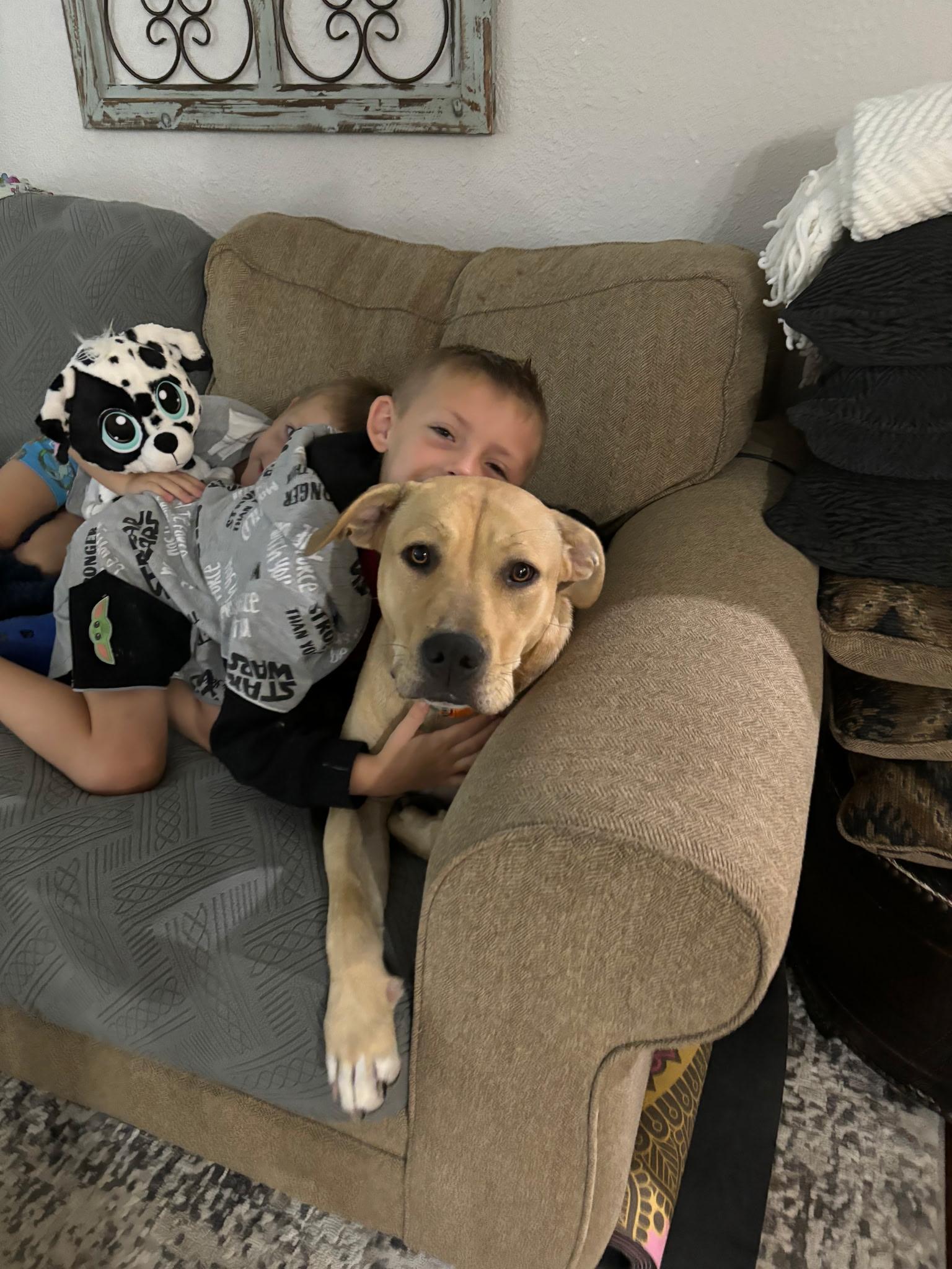 Milu, a Adoptable mixed breed in Houston, TX image 3/6