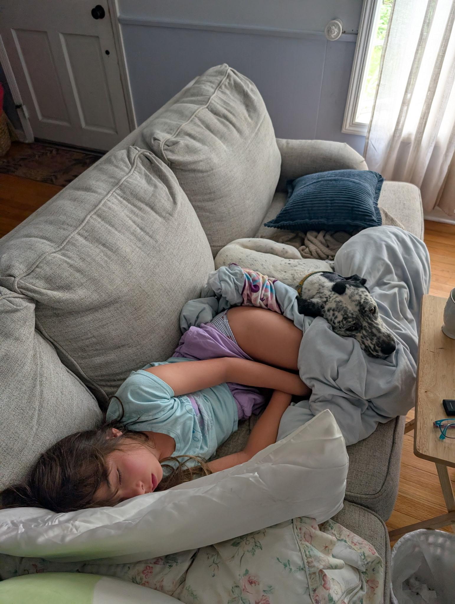 Enlarge Dove, a Adoptable mixed breed in Sagaponack, NY image 5/6