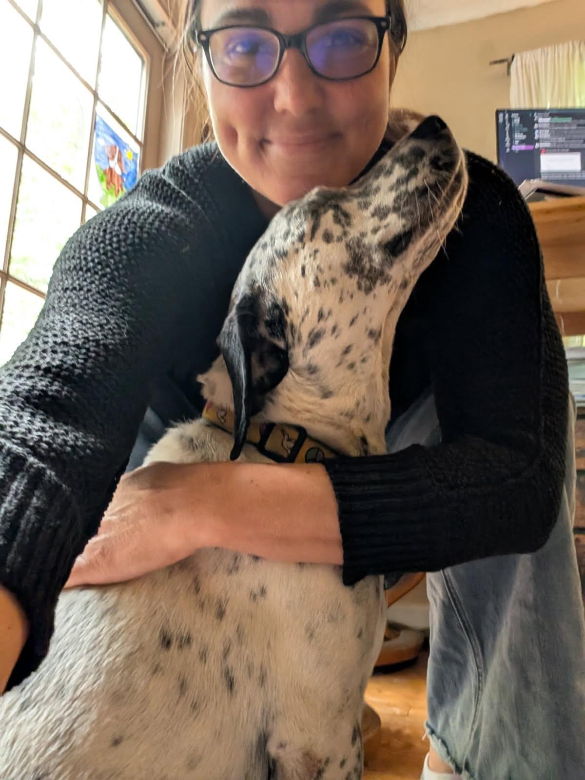 Enlarge Dove, a Adoptable mixed breed in Sagaponack, NY image 3/6