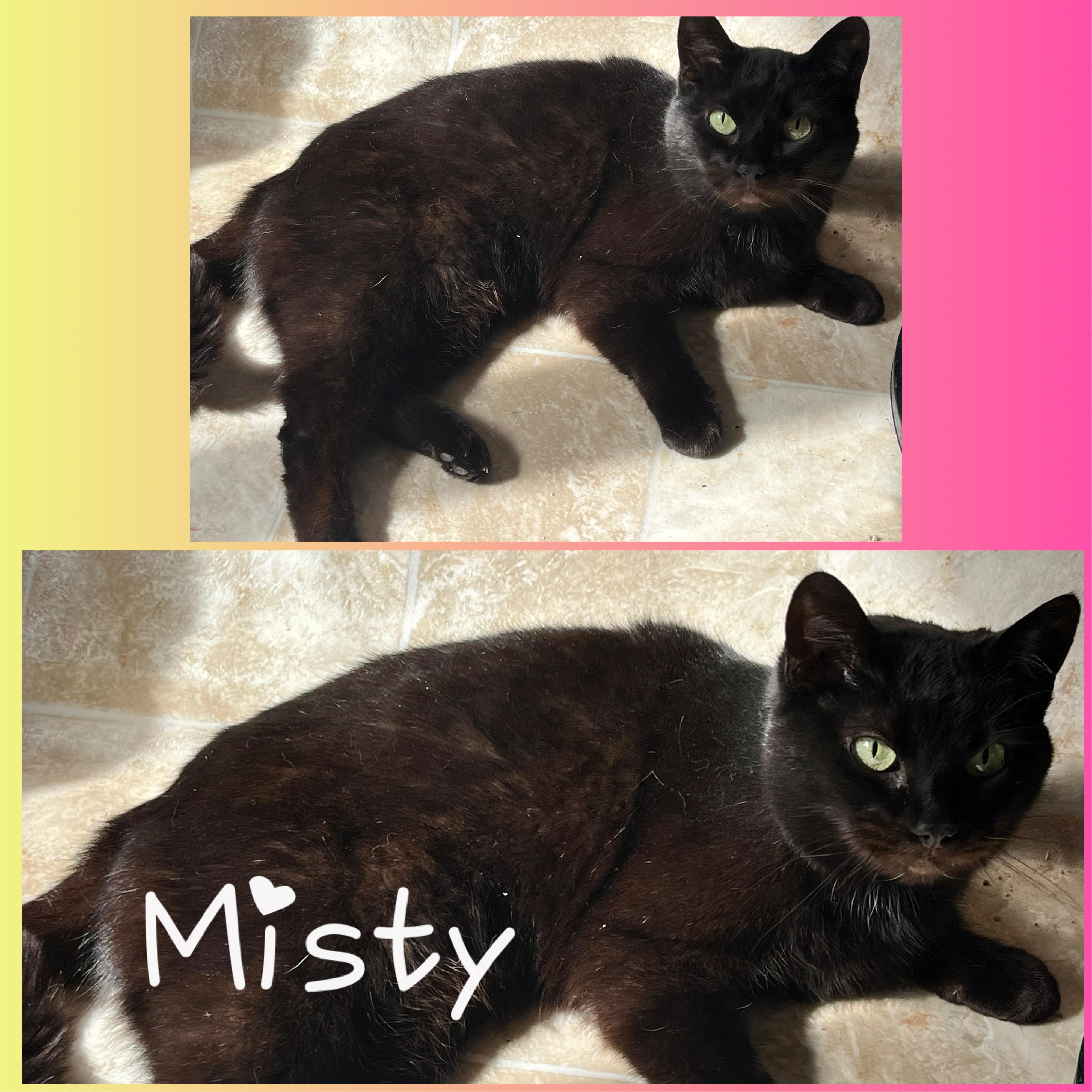 Misty
