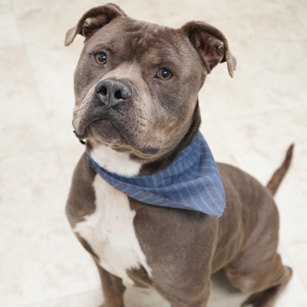 Dennis — thumbnail 2