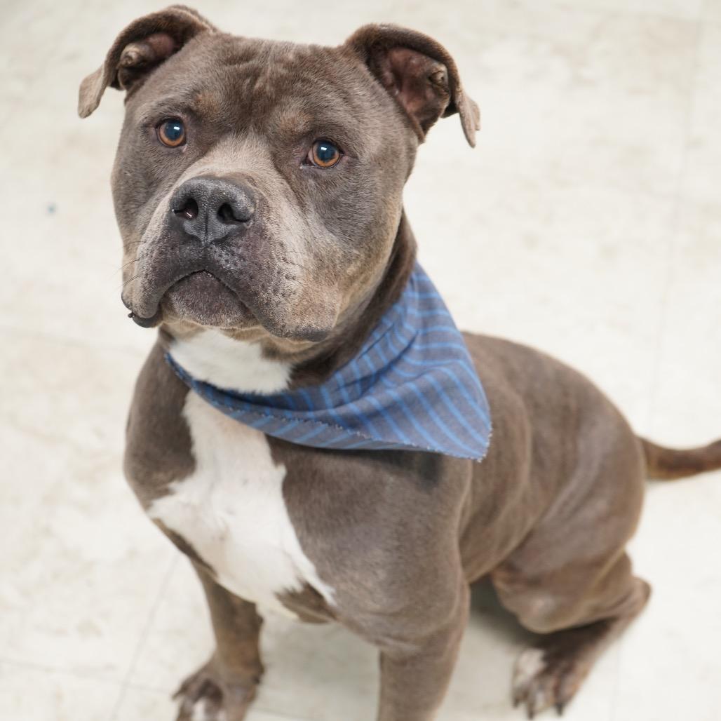 Dennis — thumbnail 3