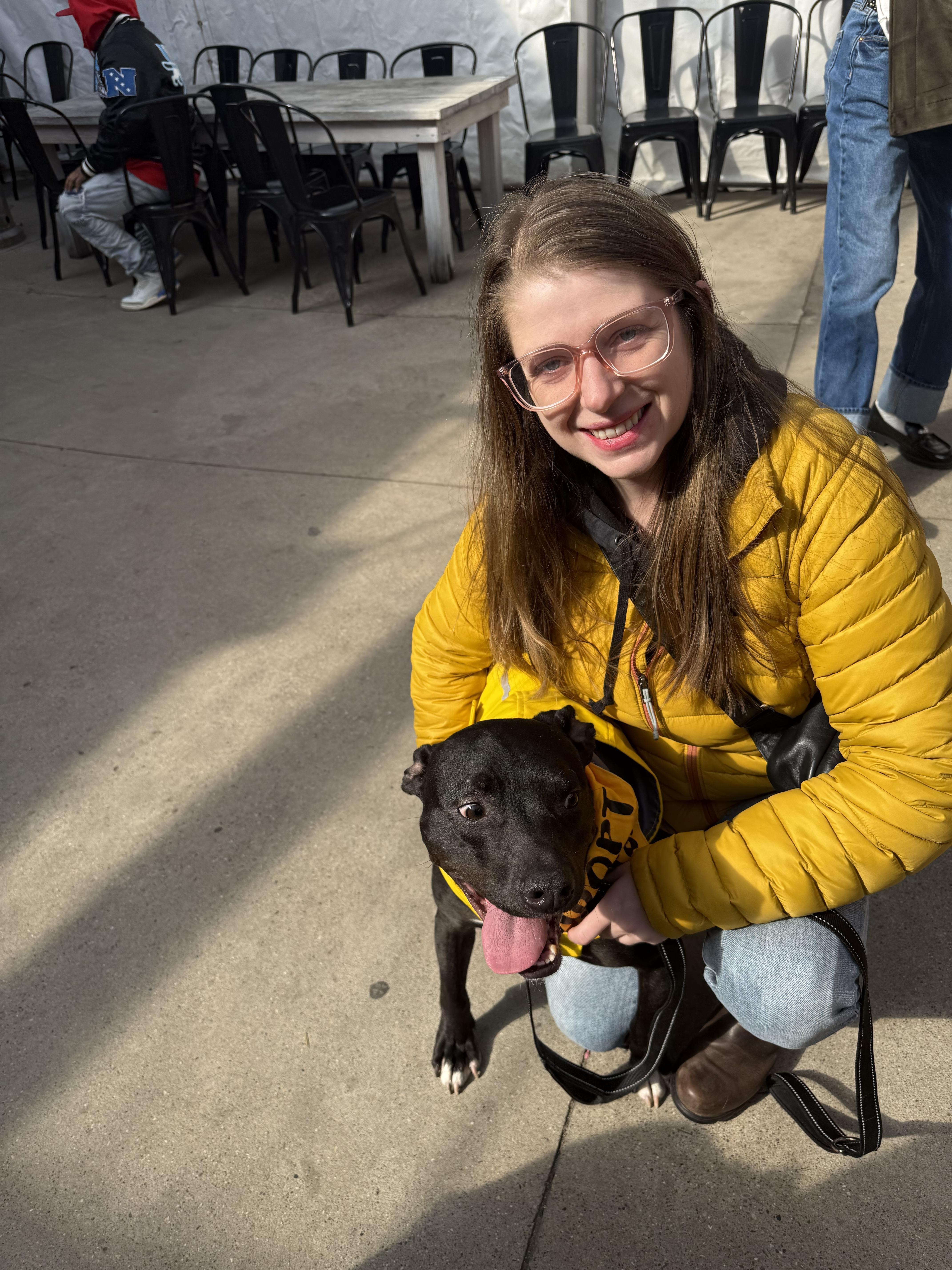 Enlarge Martini, a ADOPTABLE mixed breed in Pleasant Ridge, MI image 6/6