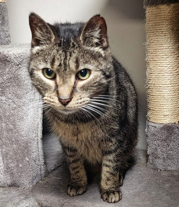 Java — thumbnail 3