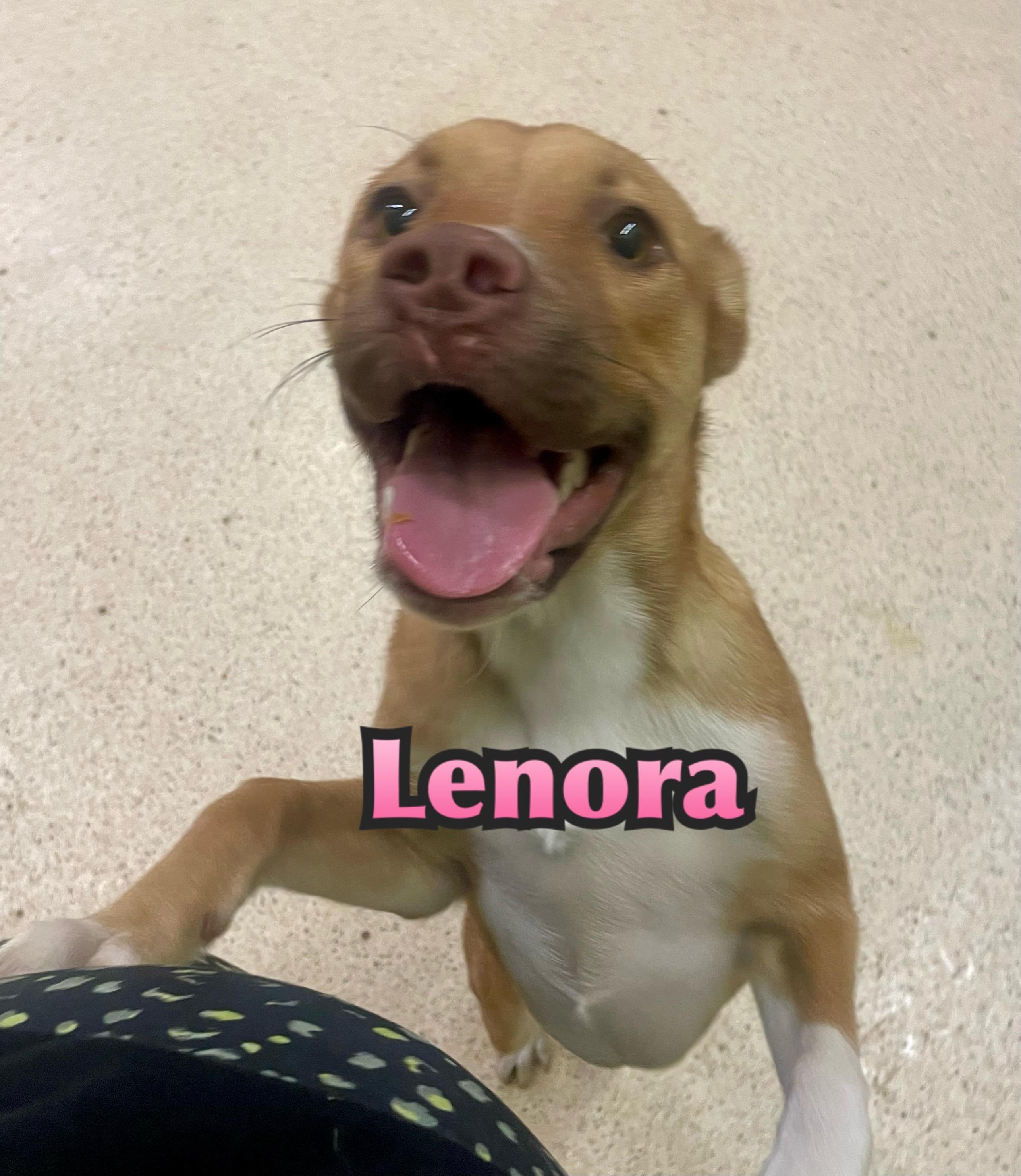 Lenora