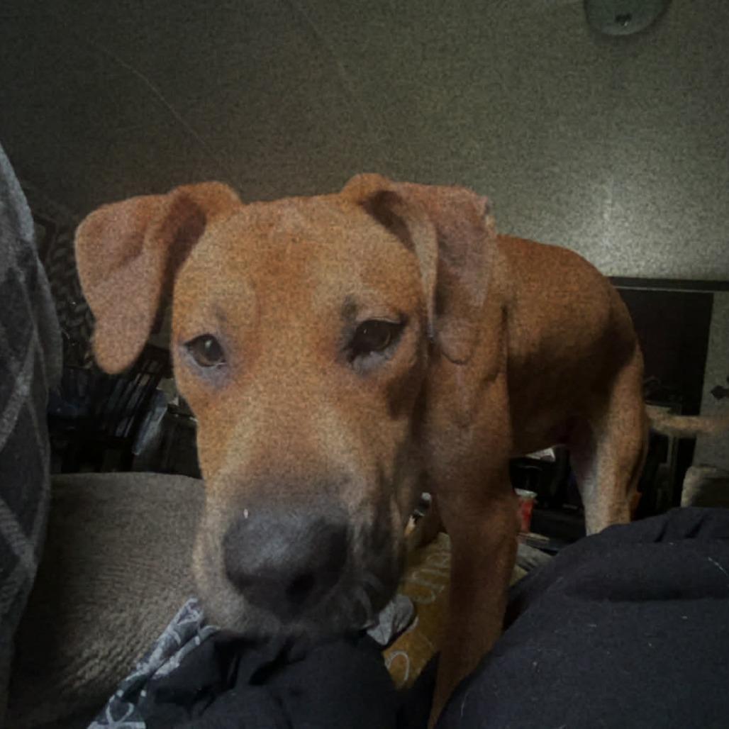 Izzy Girl thumbnail 4