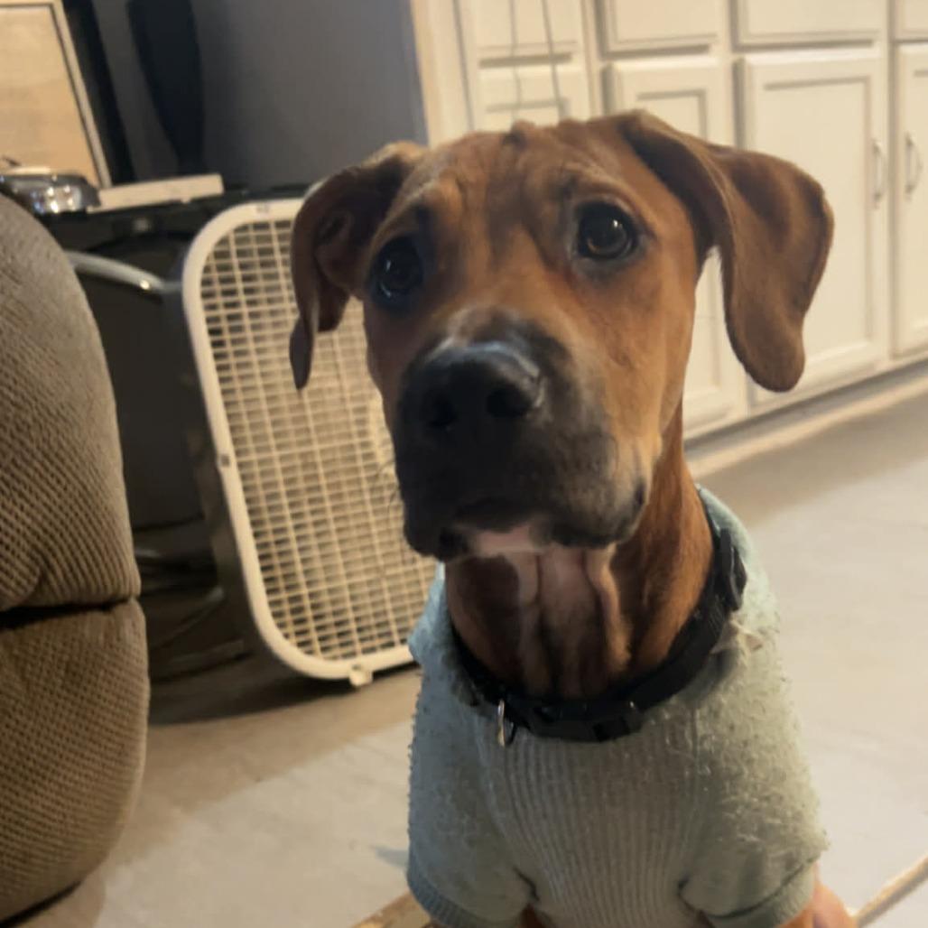 Izzy Girl thumbnail 5