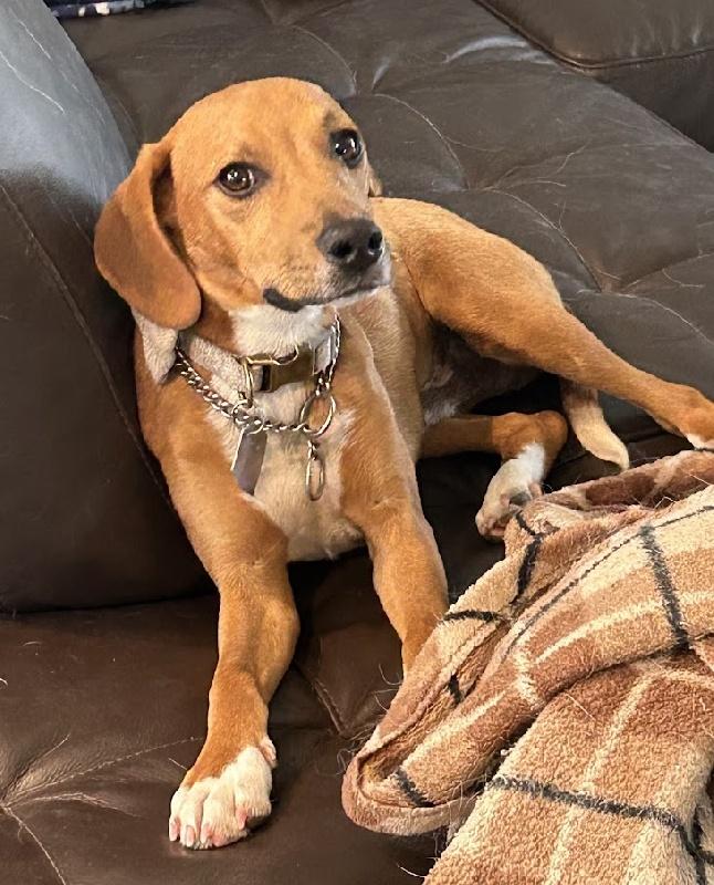 Frankie