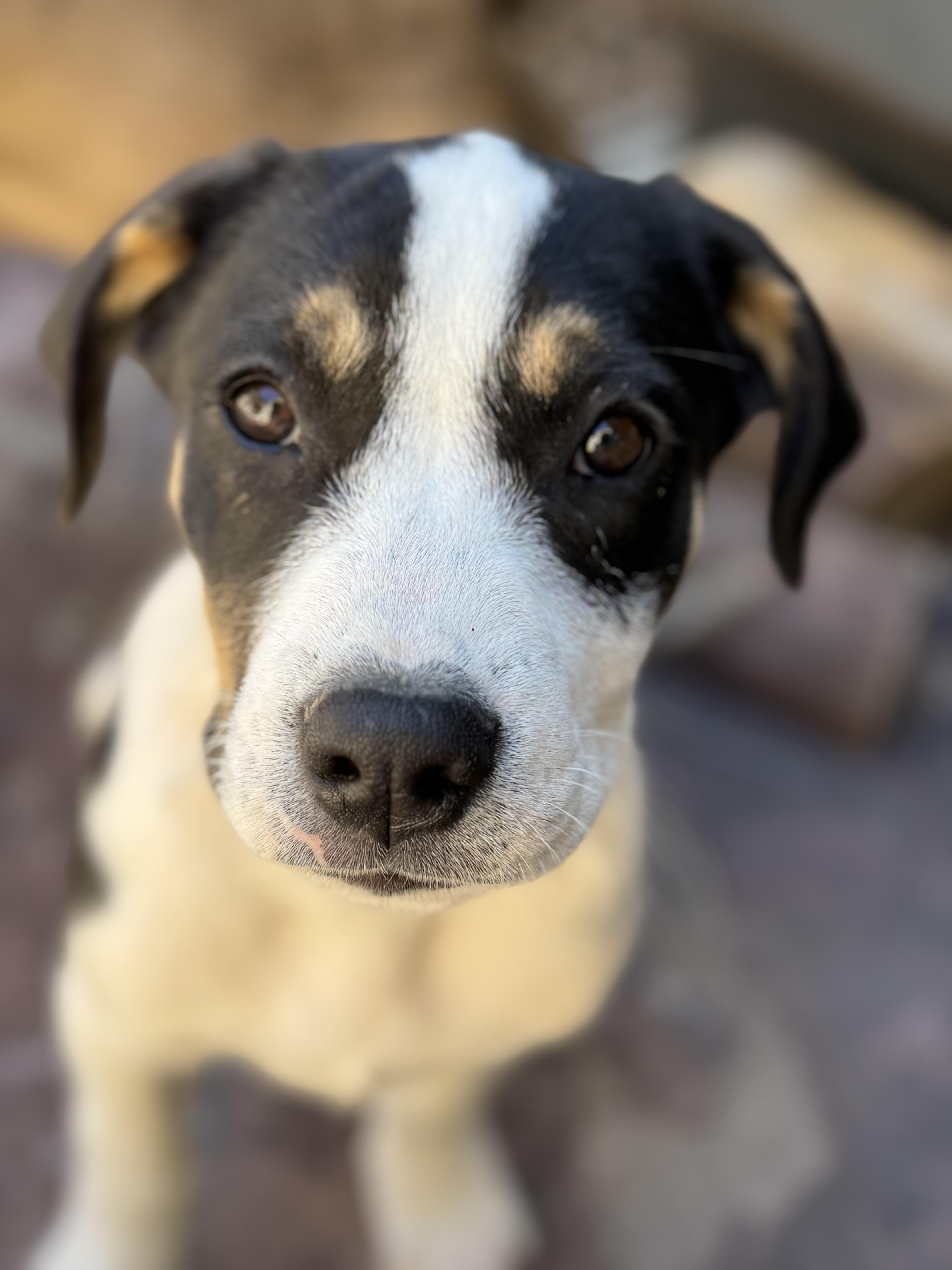 Java