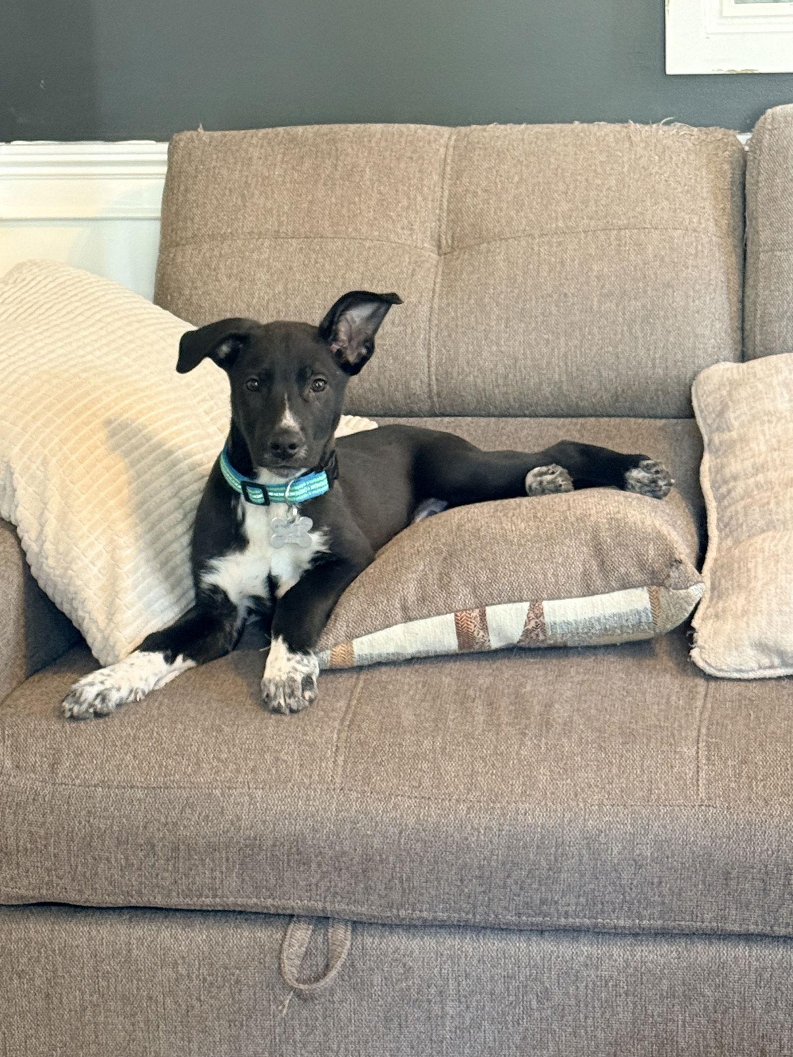 Tyler — thumbnail 3