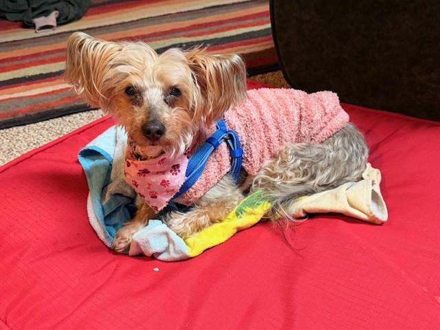 Macie — thumbnail 4