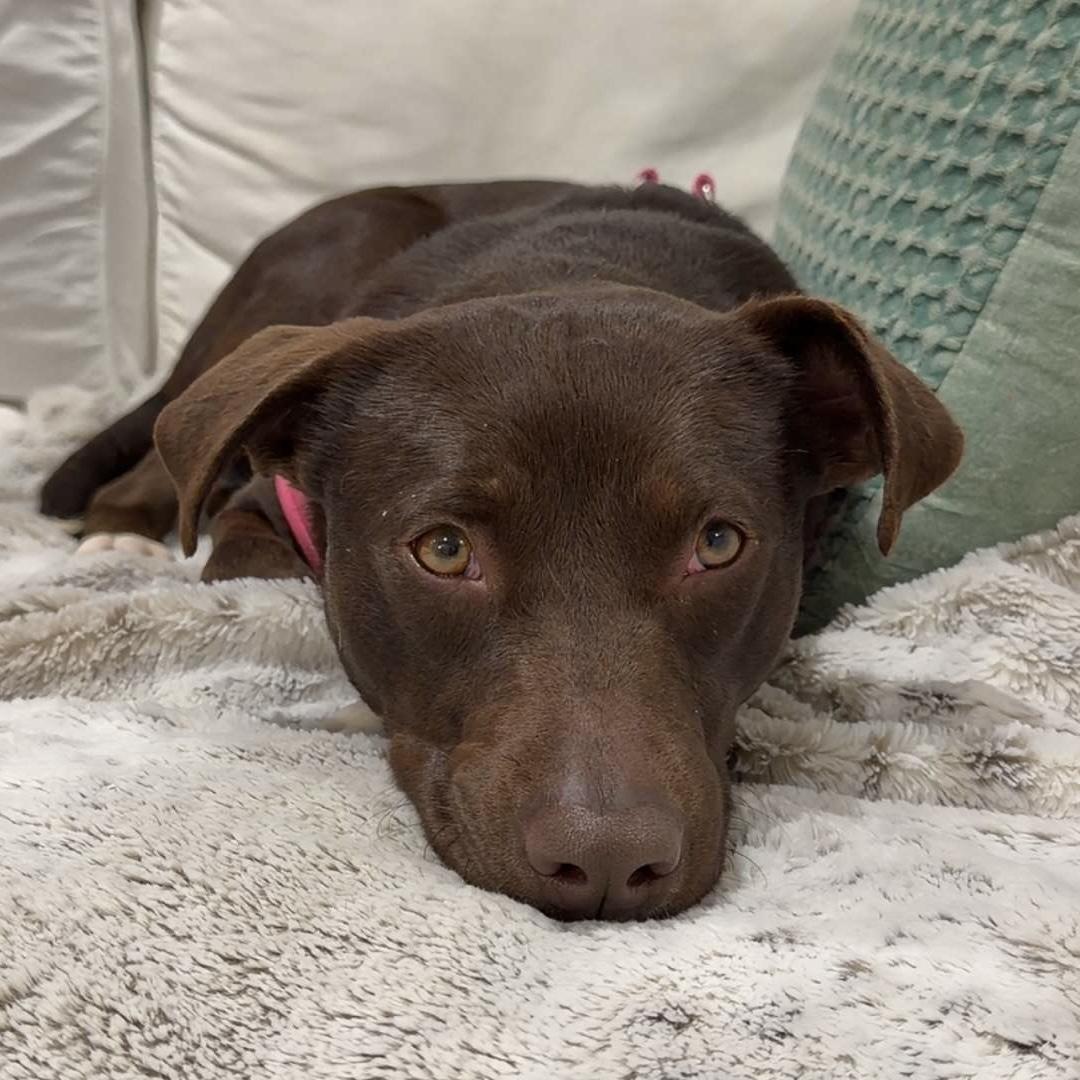 Pillow — thumbnail 3