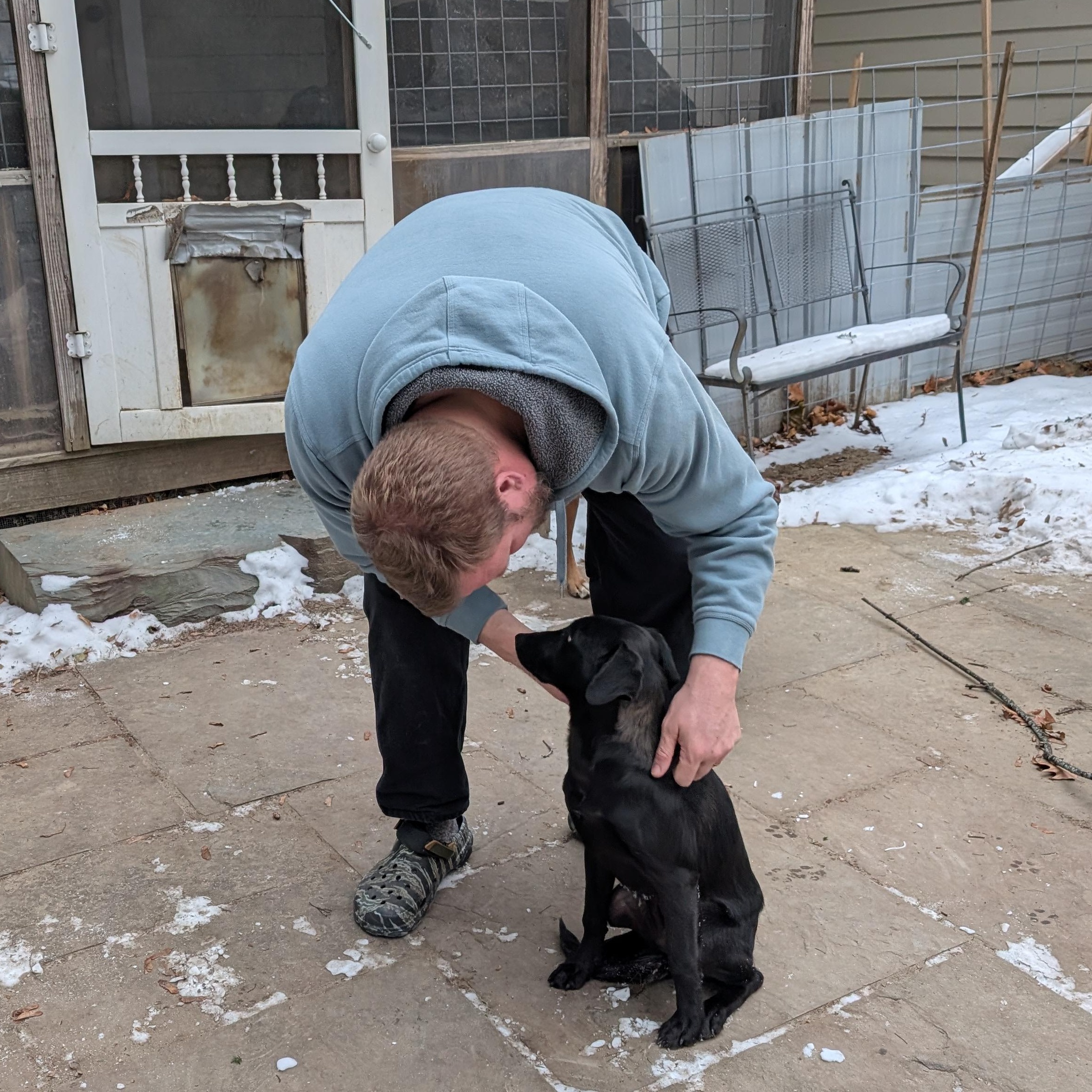 Enlarge Midnight, a Adoptable Mixed Breed in Burlington, VT image 5/6