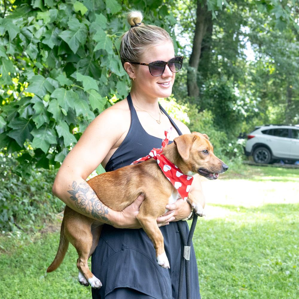 Enlarge Ruby (Female), a Adoptable mixed breed in West Grove, PA image 3/6