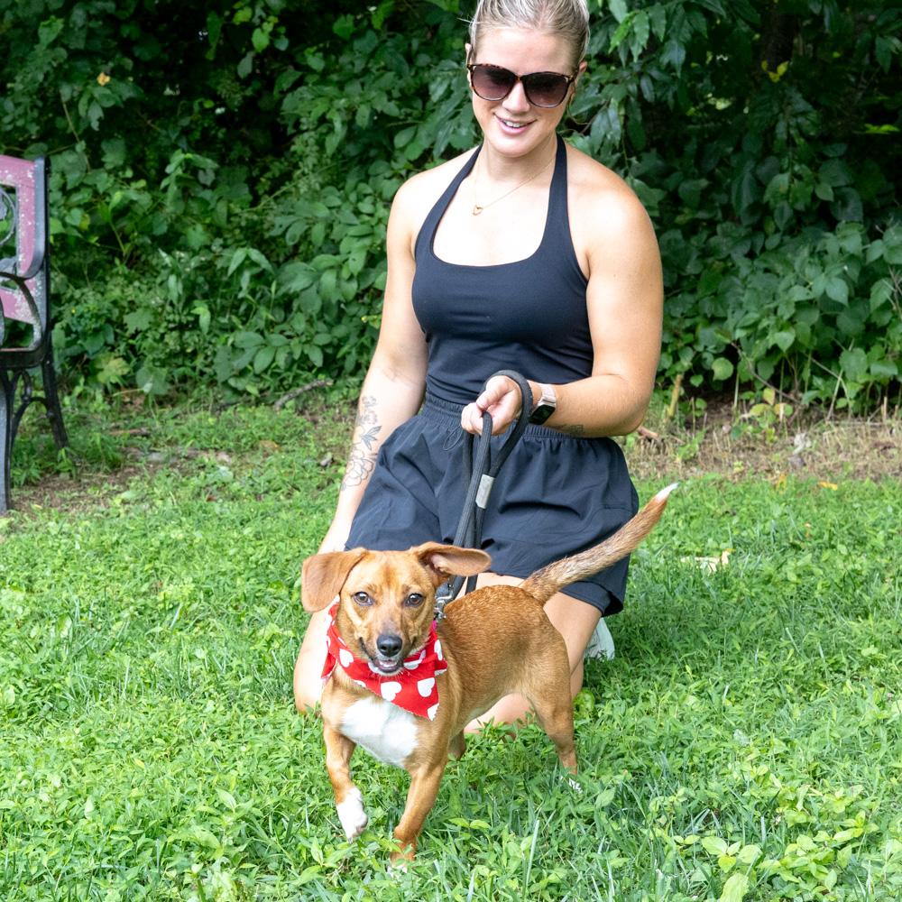 Enlarge Ruby (Female), a Adoptable mixed breed in West Grove, PA image 4/6