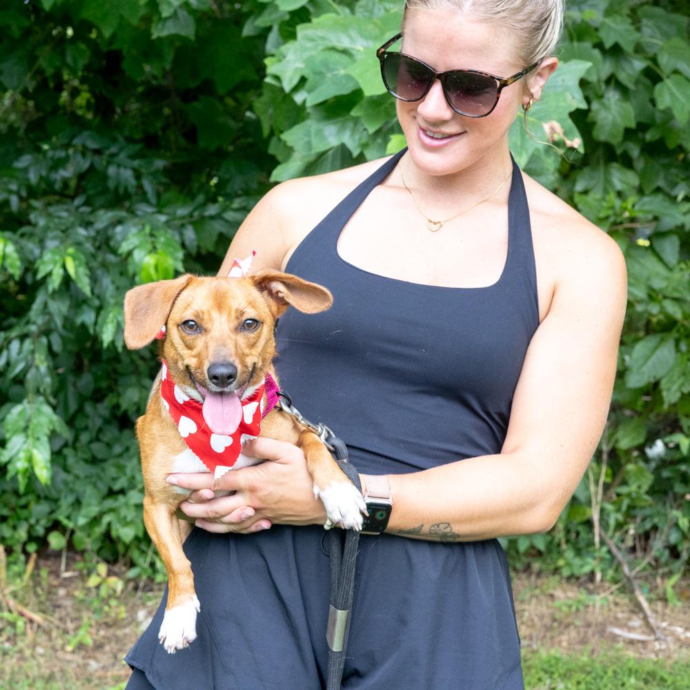 Enlarge Ruby (Female), a Adoptable mixed breed in West Grove, PA image 5/6