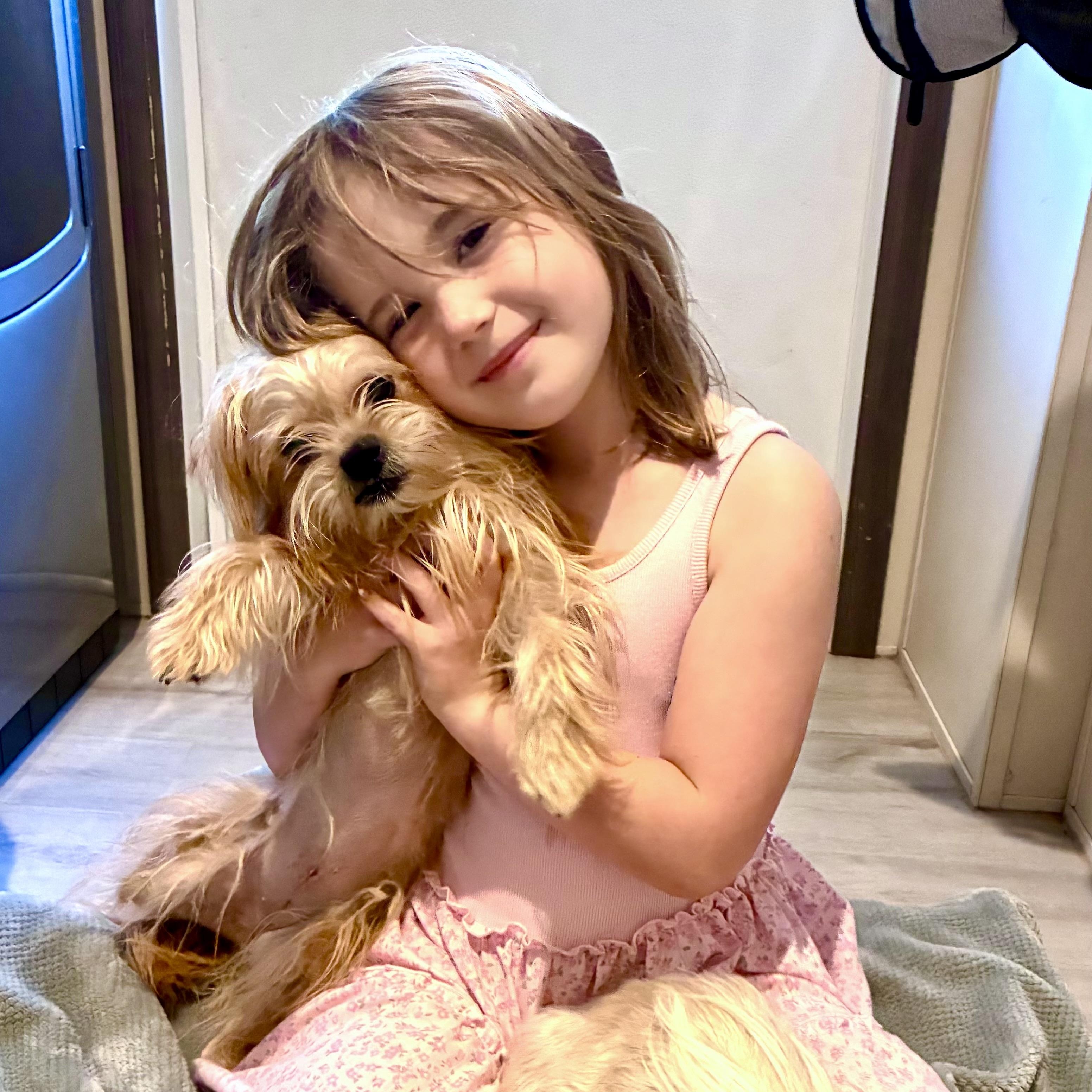Sophia, an adopted mixed breed in Baytown, TX image 6/6