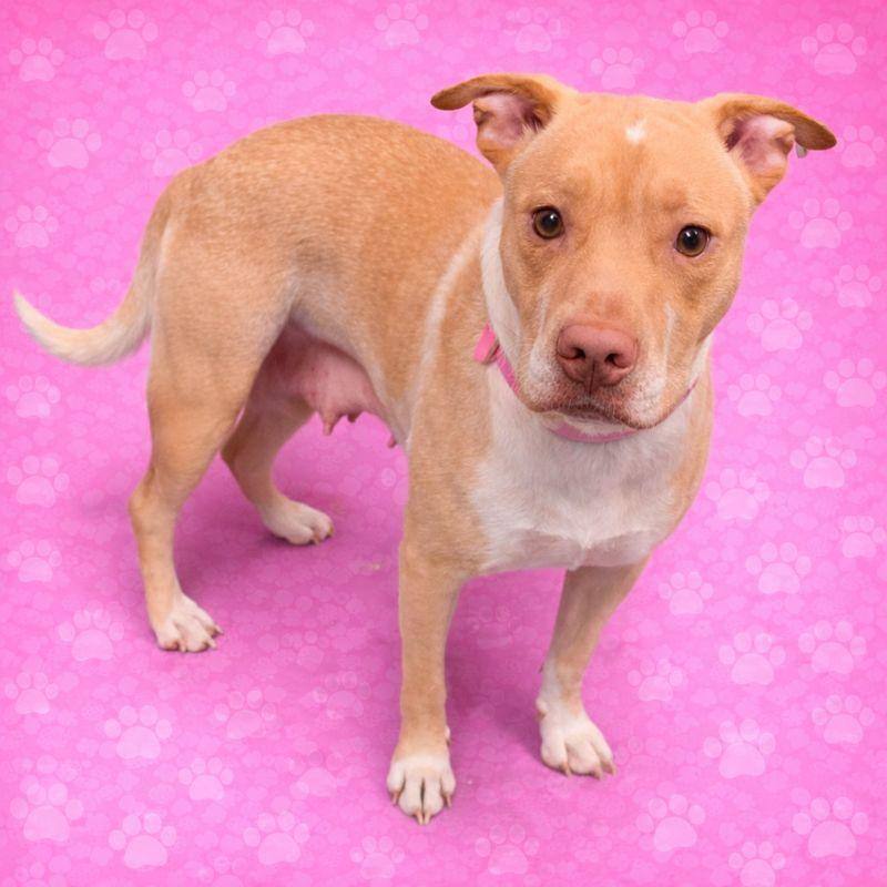 MARLEY — thumbnail 2