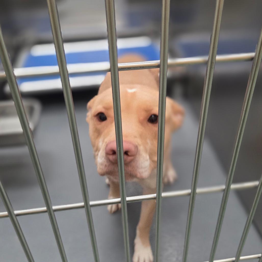 MARLEY — thumbnail 3