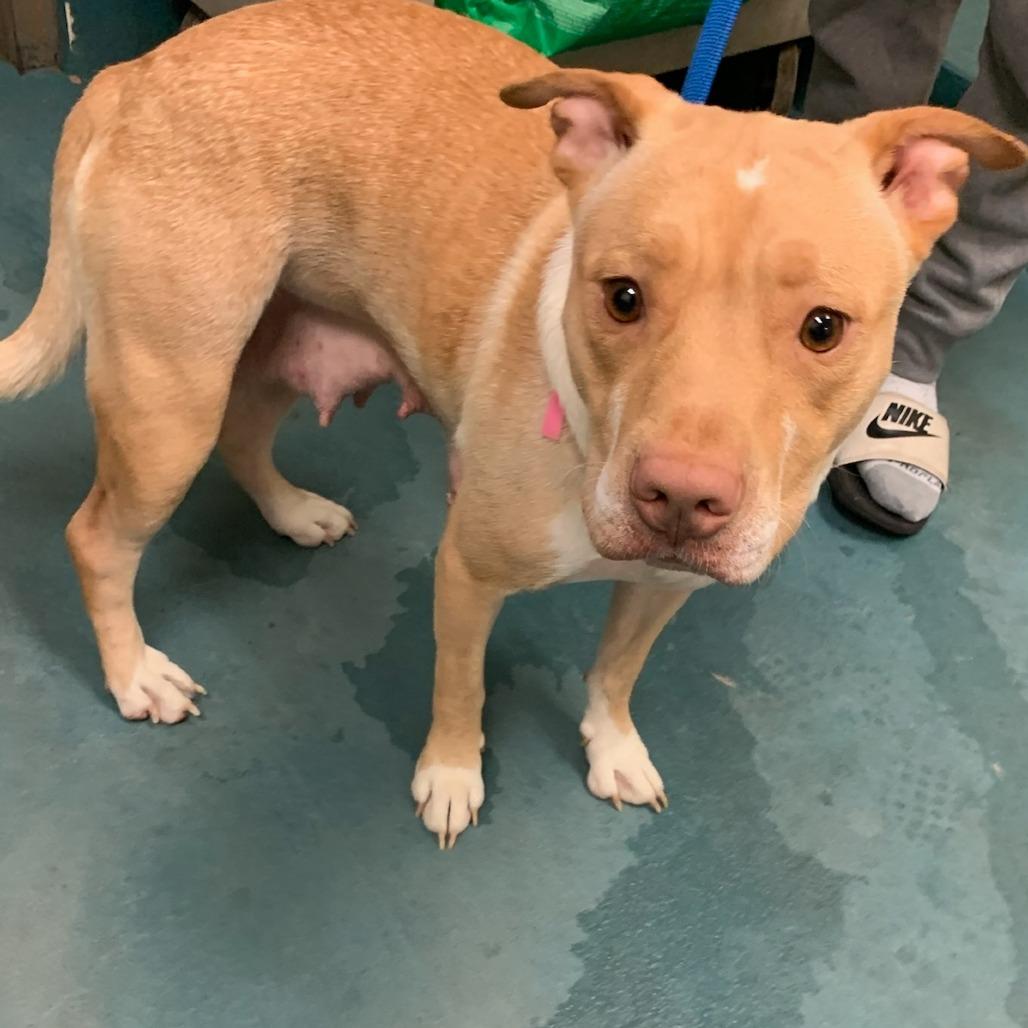 MARLEY — thumbnail 4