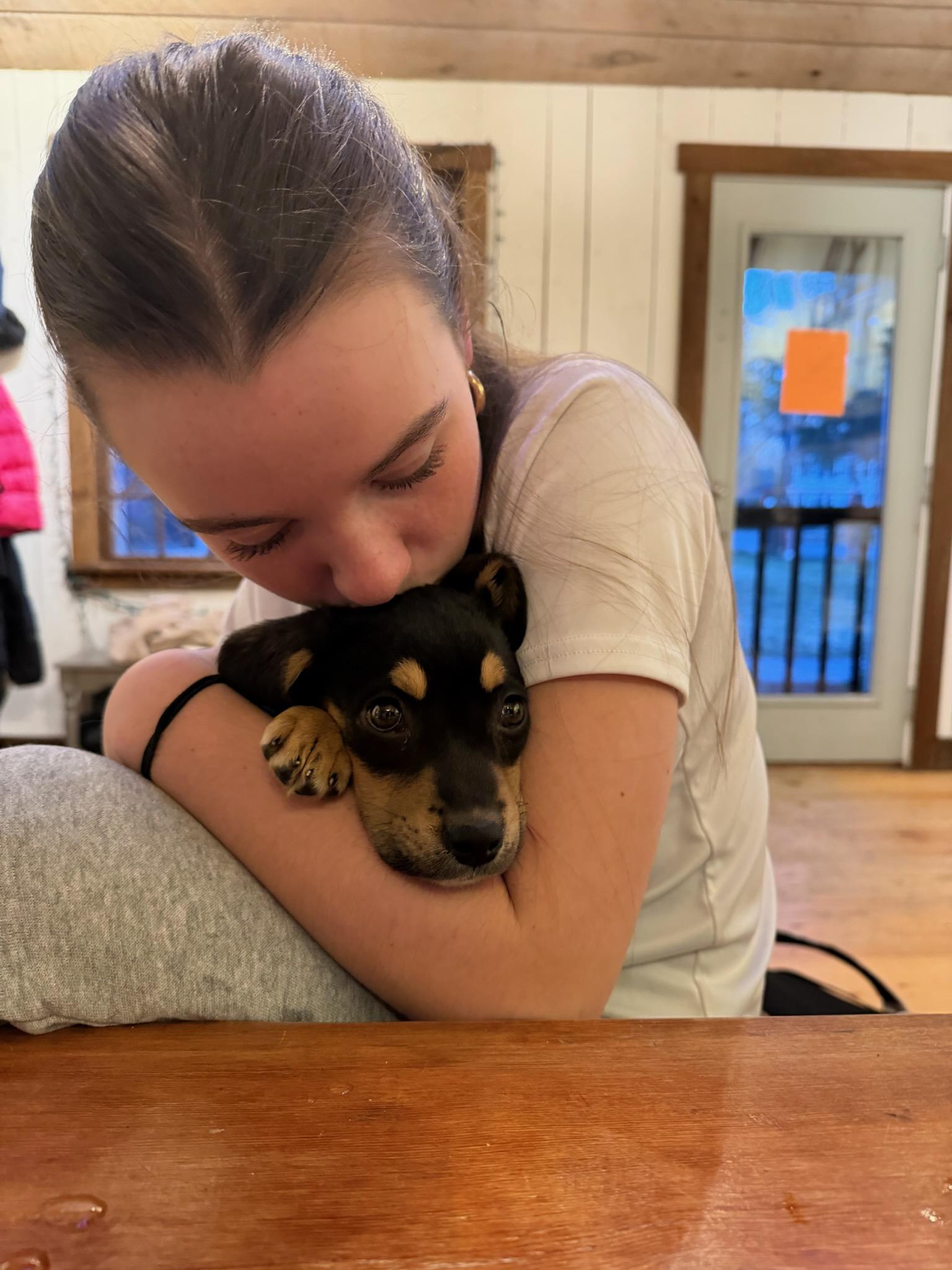 Enlarge Clare, a ADOPTABLE mixed breed in Billerica, MA image 2/6