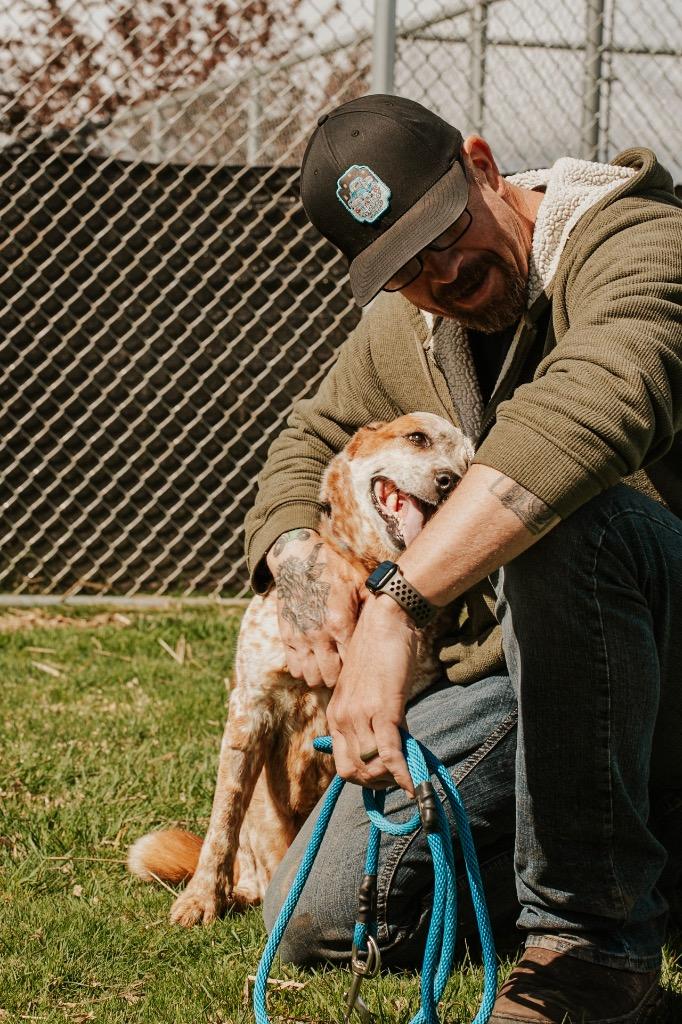 Enlarge LadyBug - Sponsored by Danny, Ben & River, a Adoptable mixed breed in Newberg, OR image 2/6