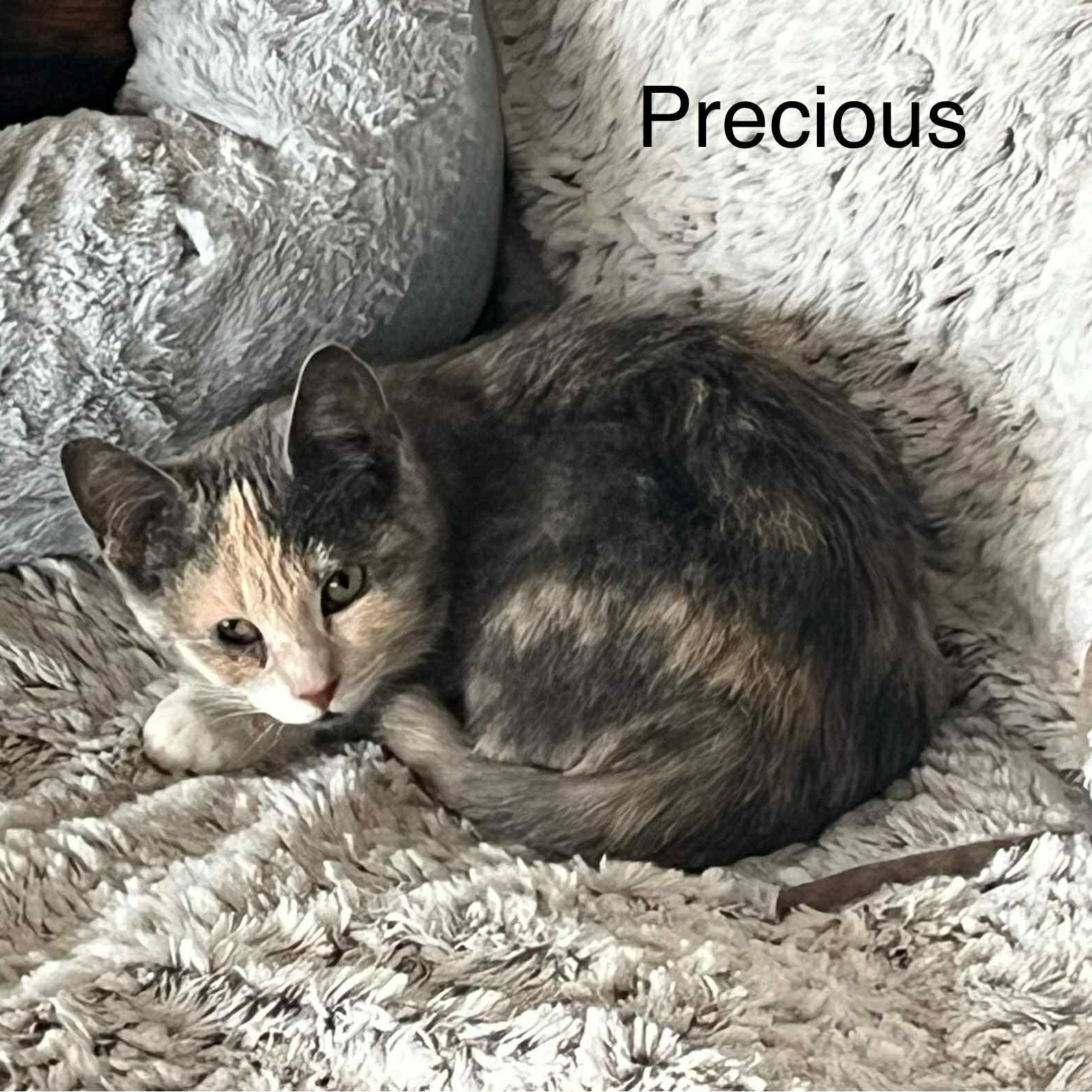 Precious