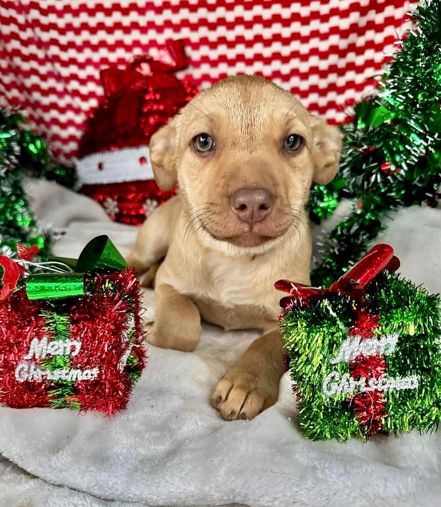 September Gentry thumbnail 3