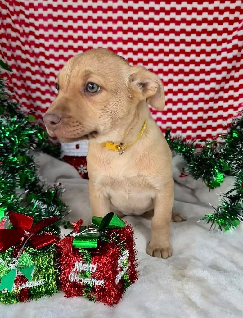 September Gentry thumbnail 5