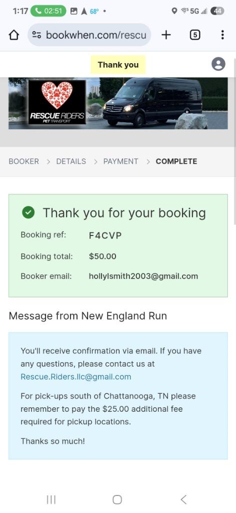 Enlarge Itsy, a Adopted mixed breed in Crossville, TN image 1/6