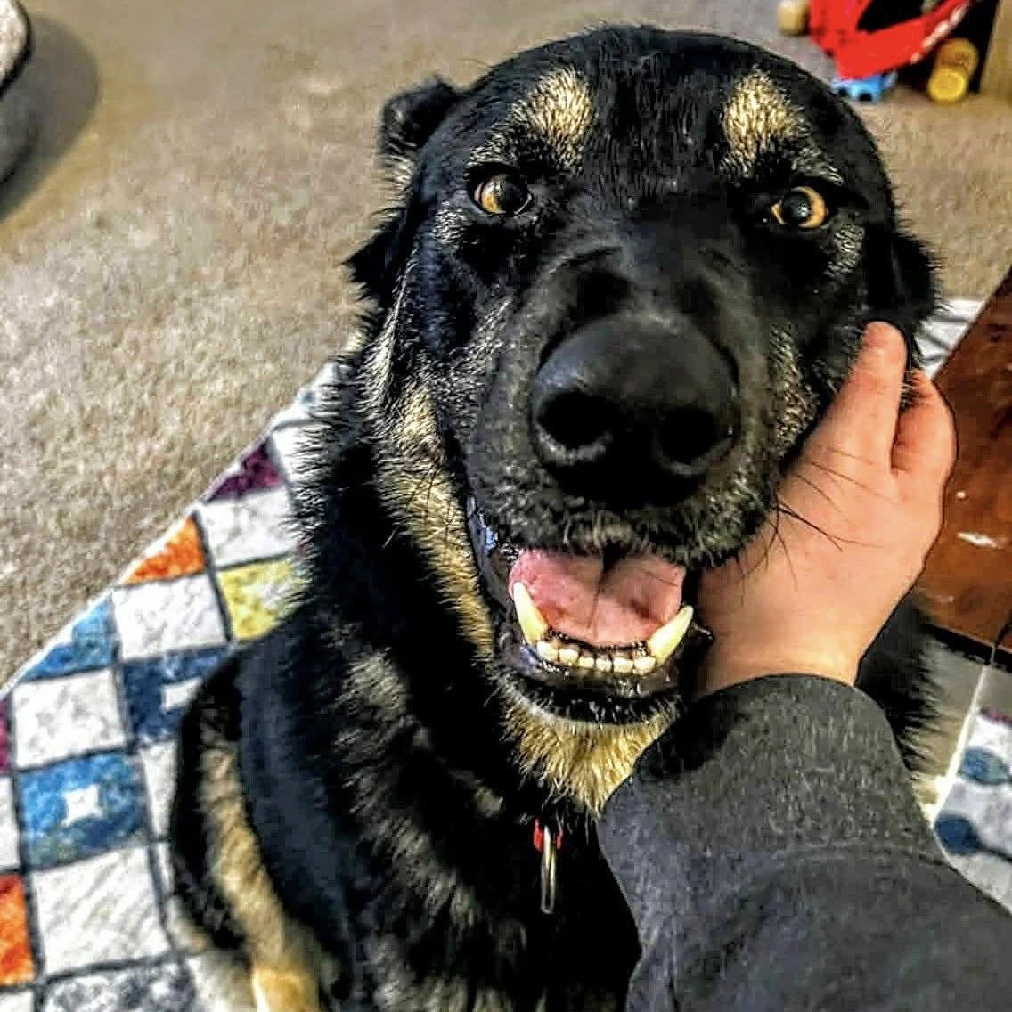 Jayme (20251230-08) — thumbnail 2