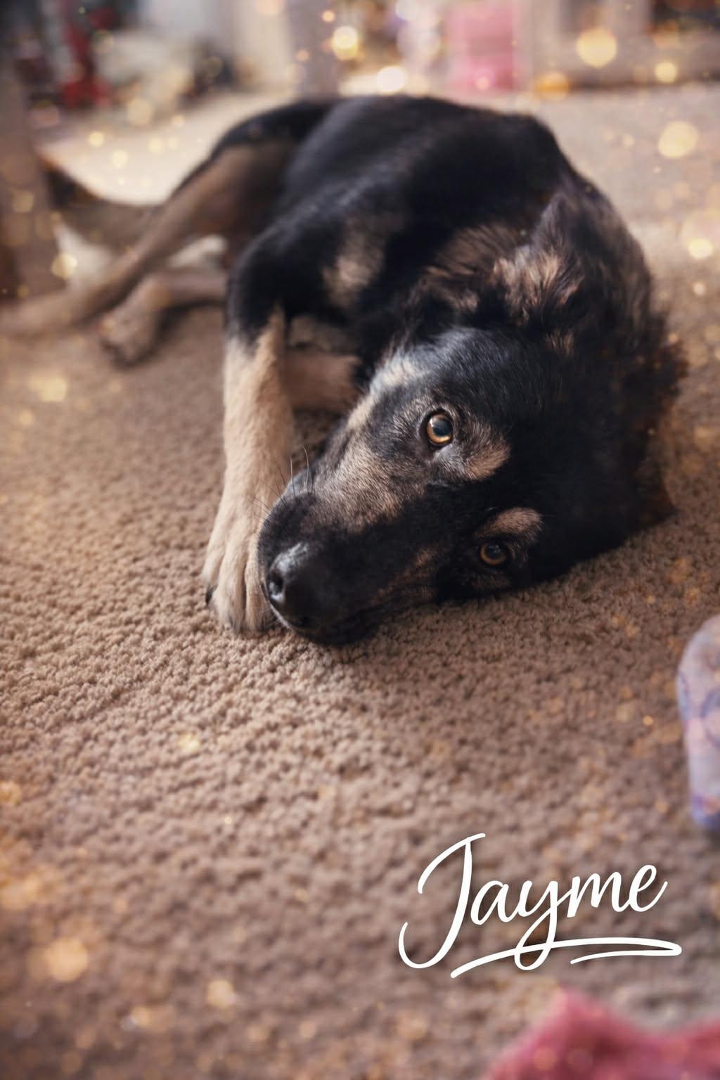 Jayme (20251230-08) — thumbnail 3