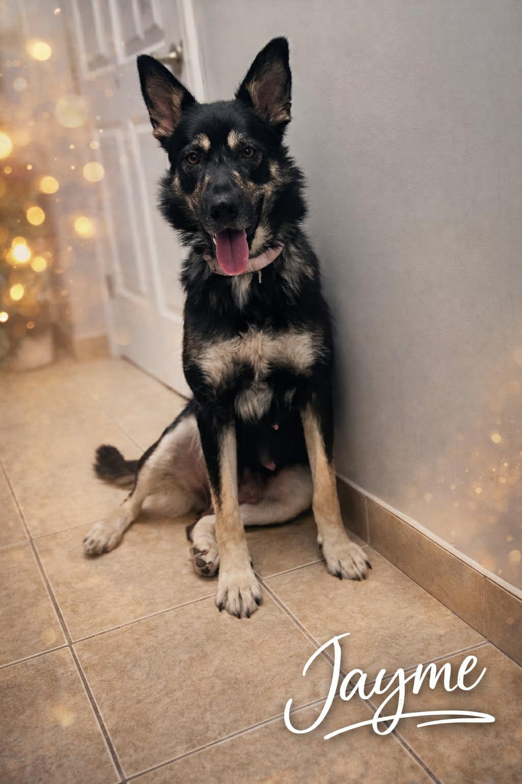 Jayme (20251230-08) — thumbnail 4