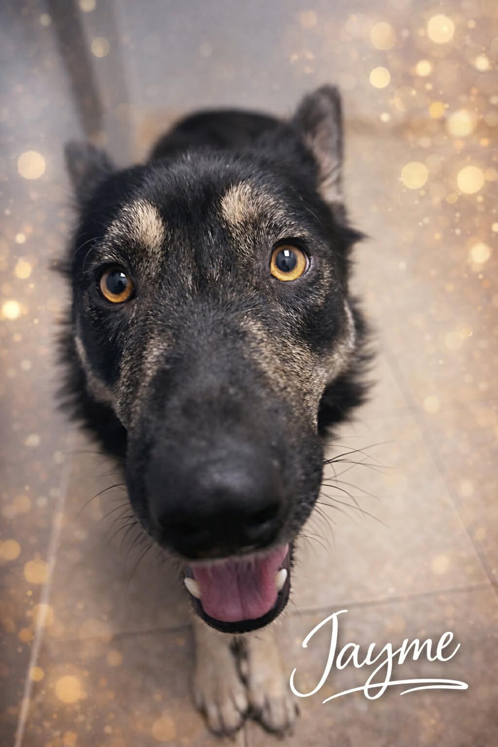 Jayme (20251230-08) — thumbnail 5