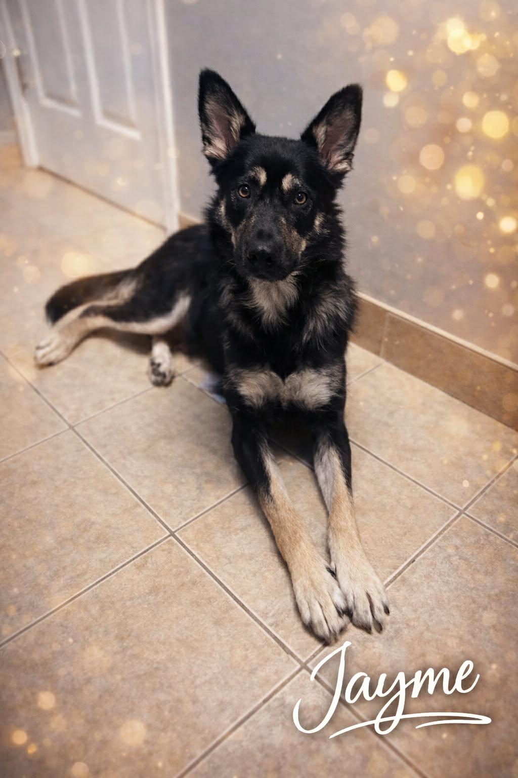 Jayme (20251230-08) — thumbnail 6