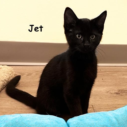 Jet 4/25