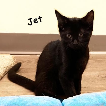 Jet 4/25