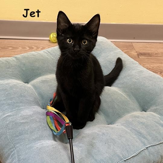 Jet 4/25