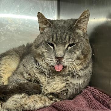 Richie — thumbnail 2